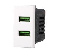 Serie Civile Compatibile Con Bticino Axolute (Presa Caricatore USB Doppio USB-A, Bianco)