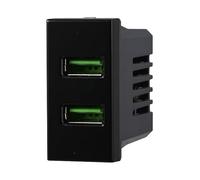 Serie Civile Compatibile Con Bticino Axolute (Presa Caricatore USB Doppio USB-A, Nero)