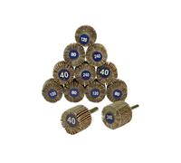 Serie di 12 pezzi mola abrasivi a lamelle 60mm