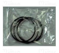 Serie fasce per pistone da 64 motore 400 z 402 aixam