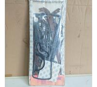 Serie guarnizione motore con testa cilindri Renault 8/10 del 1973 cod.24049000