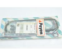 SERIE GUARNIZIONE SMERIGLIO AUTOBIANCHI A 112 FIAT PANDA UNO PAYEN DP020