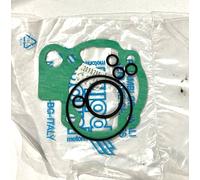 SERIE GUARNIZIONI CILINDRO POLINI MINARELLI AM 345 209.0295
