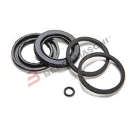 SERIE GUARNIZIONI PINZA BREMBO DA 38 MM - BMW ARIETE 13855-PI R65 85-85 R80