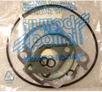 SERIE GUARNIZIONI POLINI SR RALLY 491 DRAGSTER F12 F15 AEROX D 47,6 EVO 2090412