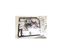 SERIE GUARNIZIONI TESTA ALTA LOMBARDINI LDW 502 ORIGINALE GM8205122