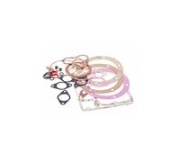 Serie kit guarnizioni motore diesel LOMBARDINI 11LD625/3 senza paraoli