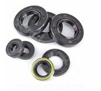 SERIE KIT PARAOLI MOTORE DERBI SENDA 2006> (KIT DI 7) ( EURO 3 / EURO 4 )