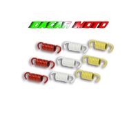 SERIE MOLLE FRIZIONE MALOSSI PIAGGIO BEVERLY 300 ie 4T LC euro 3 <-2009 (M28MM)
