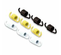 Serie Molle Frizione Malossi Racing - 297457