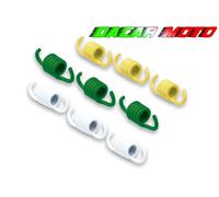 SERIE MOLLE MALOSSI MOTRON THUNDER'S 50 298746