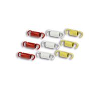 KIT MOLLE MOLLETTINE FRIZIONE MALOSSI PER SUZUKI BURGMAN AN UH 200 250 NEXUS 300
