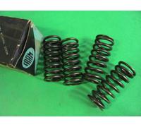 SERIE MOLLE VALVOLE FIAT 500D-500/110 SPORT (KIT VALVES SPRINGS)