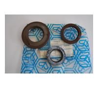 Serie paraoli albero motore Crankshaft oil seal set Piaggio Ape MP 501