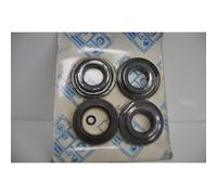 Serie paraoli motore Engine oil seal set Piaggio Skipper 125 150 Gilera Typhoon