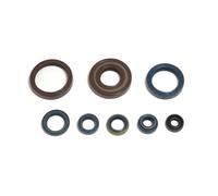 Athena P400220400128 Kit Paraoli Motore