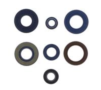 KIT SERIE PARAOLIO MOTORE COMPLETA ATHENA AM6 FANTIC MOTARD CASA 50 2T LC
