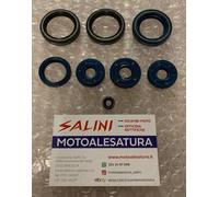 P400010400012 KIT PARAOLI MOTORE APRILIA AF1 SINTESI REPLICA SPORT 125 1994