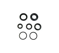 Serie Paraolio Motore APRILIA HABANA 50 CUSTOM da 1-1999 - a 12-2001