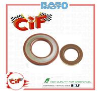 Serie Paraolio Motore Lato Frizione e Volano Piaggio Ape MP