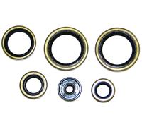 Serie paraolio motore NRTeam PER KTM 125 SX (98-15)