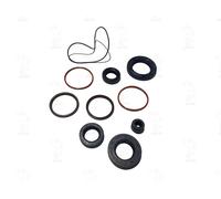 SERIE PARAOLIO MOTORE RMS PIAGGIO ZIP-FREE-QUARTZ-SFERA-NRG-NTT RIF 100640060