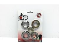 SERIE RALLE CALOTTE STERZO AGILITY