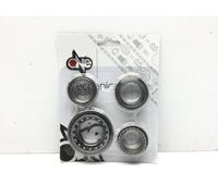 SERIE RALLE CALOTTE STERZO PIAGGIO ZIP 50 1996 1999 C0600