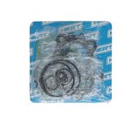 Serie Smeriglio per KYMCO Agility 4T R16 Plus 125 2014-2015