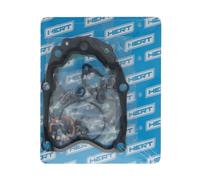 Serie Smeriglio per PIAGGIO X7 EVO E3 300 2009-2010