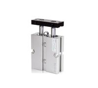 Serie TN32 Cilindro a due steli con magnete Cilindro pneumatico TN32X40S TN32X50S TN32X60S TN32X200S(TN32X150S)