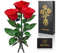 SERIONR Rosa Stabilizzata, Rosa Eterna con Steli Regalo per Donna, 3 Veri Fiori Stabilizzati, Rosa Rossa per Madre, Moglie, Amica, Donne, Compleanno, San Valentino, Festa Della Mamma, Regalo Natale