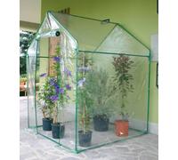 Serra da Giardino a Casetta in Acciaio con Telo Rama Clematis Verde