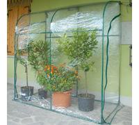 SERRA DA GIARDINO A PARETE PER PIANTE ORTO FIORI IN ACCIAIO PVC cm 200X100X215