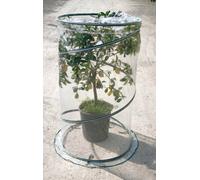 Serra da Giardino con Sistema Pop-Up Ø90cm Rama Citrus Verde