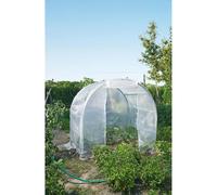 Serra da orto Spring 200x150xh175 cm Trasparente