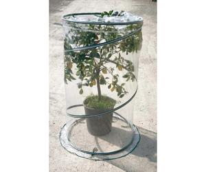 Serra da terrazzo pop-up Citrus Ø 90 cm x h 150 Trasparente/verde