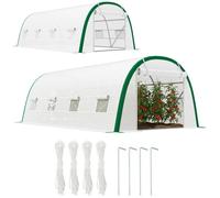 Serra giardino tunnel 18m2 6x3x2m pomodori 8 finestre porta con cerniera acci...