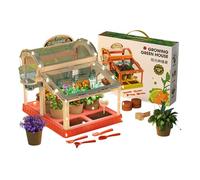 Serra illuminata dei bambini facendo uso della costruzione acrilica per la crescita della pianta dell'interno e le attività educative