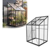 Serra in alluminio, 125 x 110 x 195 cm, lucernario e porta scorrevole | Casetta per piante per parete, terrazza o balcone: protegge verdure, erbe e fiori dal freddo e dalla pioggia