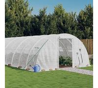 Serra per esterni, con telaio in acciaio, colore bianco, 96 m², 24 x 4 x 2 m, protezione per piante e pomodori