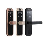 Serratura a mortaio for sicurezza domestica con codice digitale e scheda di blocco for impronte digitali(5072 Mortise02)