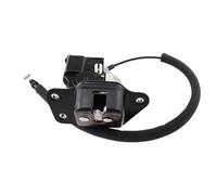 Serratura Bagagliaio Compatibile Con Dodge Per Durango 3.6L 5.7L Per Nitro 2007 2008 2009 2010 2011 2012 2013 Baule Posteriore Serratura Porta Latch Attuatore Motore Portellone