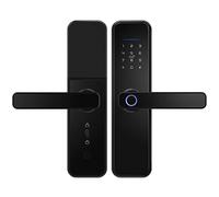 Serratura biometrica con impronta digitale, serratura elettronica maniglia e accesso senza chiave, codice tastiera, controllo tramite APP, scheda IC
