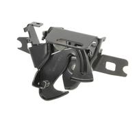 BLIC Chiusura cofano 6010-01-015424P per VW, SEAT