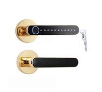 Serratura Della Porta Intelligente Impronta Digitale Biometrica Smart Door Lock Password Tuya Elettronico Keyless Entry Knob For La Camera Da Letto Di Casa(3200G with G2)