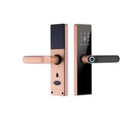 Serratura Della Porta Intelligente Tuya Wifi Smart Life App Serratura Elettronica Impronta Digitale Password Chiave Scheda IC Ricarica USB Sblocco Remoto Supporto 8 Lingue(22 X190 (5050) Bronz)