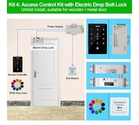 Serratura elettromagnetica Kit di controllo accessi esterno Set tastiera RFID impermeabile 125KHz 13.56MHz NFC 180KG serratura magnetica elettrica serrature di sciopero(Kit4 (Bolt Lock))