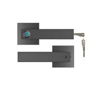 Serratura for porta con impronta digitale e maniglia biometrica di sicurezza intelligente elettronica for appartamento camera da letto, Resistente alle intemperie(Noir)