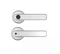 Serratura intelligente for porta con impronta digitale serratura for ingresso senza chiave APP Set tastiere e maniglia catenaccio codice elettronico,Alimentazione affidabile(Bluetooth Silver)